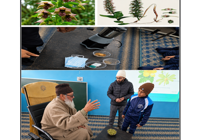 Herbal Science Learning Activity